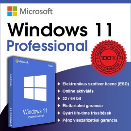 HSZ_Win11pro5